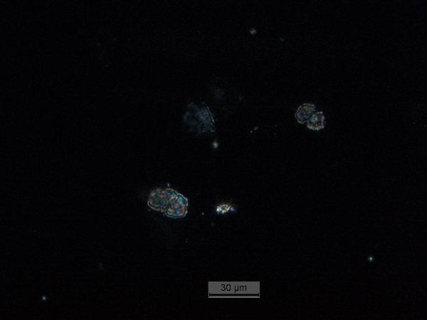 labdust_calcite_40x_cp-600.jpg