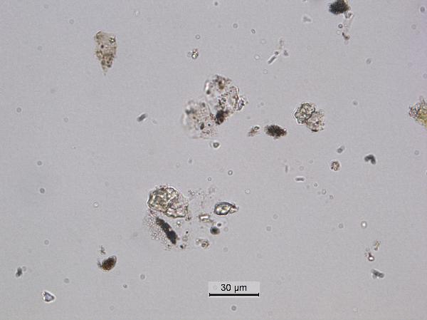 labdust_calcite_40x_pp-600.jpg