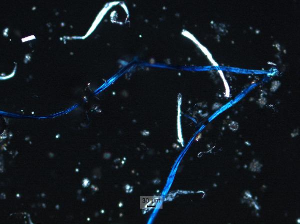 labdust_fibers_10x_cp-600.jpg