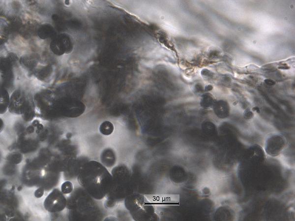 polycarb_large_40x_pp-600.jpg