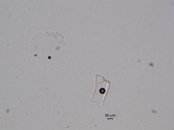 slide-glass_01-600.jpg