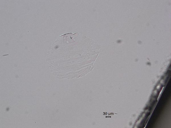 slide-glass_010001-600.jpg