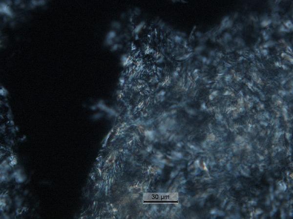 toothpick_shavings_40x_cp-600.jpg