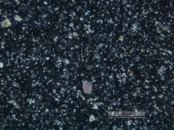 GNP-SWF10-3D-8L-1-W_33.8cm_glacvarv_depresslight_40x_cp0001-600.jpg