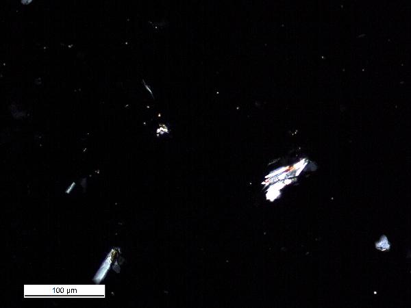 WOW07_1B1K10_100CP_200X-600.jpg
