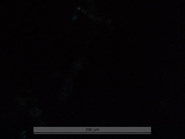 LDF-HA1213-1B-1P-1_20cm_COREFACE_40x_cp-600.jpg