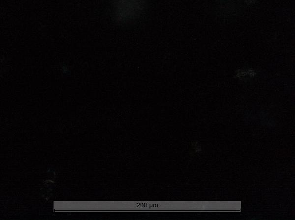 LDF-MSUG13-2A-3B-1_120cm_COREFACE_40x_cp-600.jpg