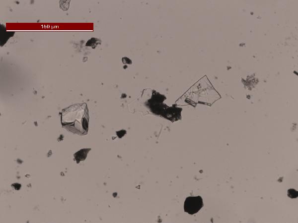 CoMtephra2_PP_100X-600.jpg