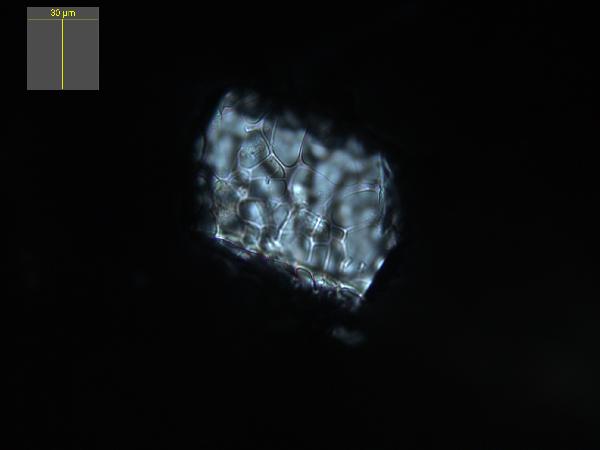 Tephra