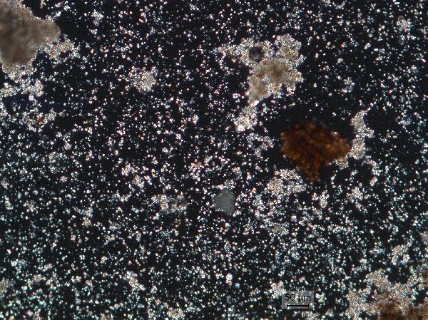 CARL-TWTW11-3D-5B-1-W_83cm_turbidite_10x_cp-600.jpg