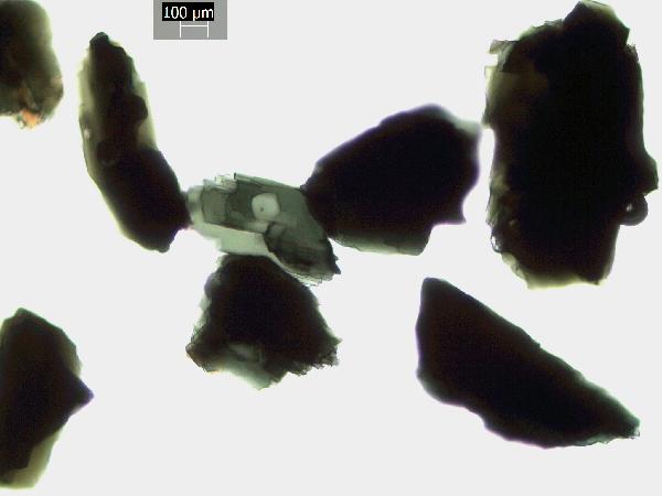Amphibole_5_GR-600.jpg