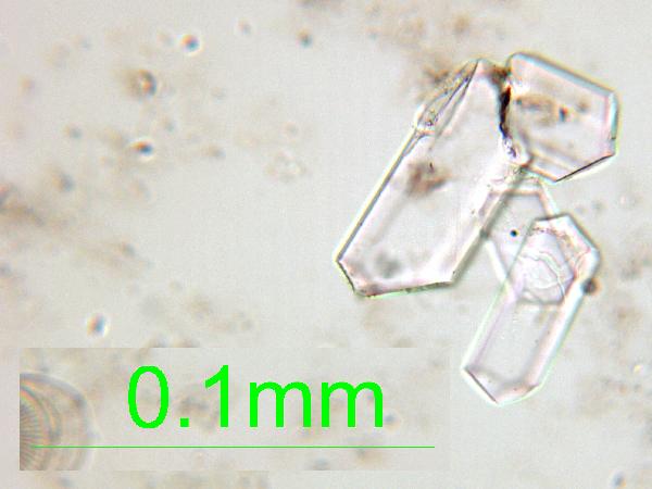 Apatite_01_pp_AB-600.jpg