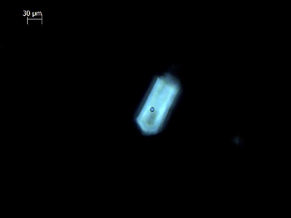 Apatite_1_MDS_cp-600.jpg