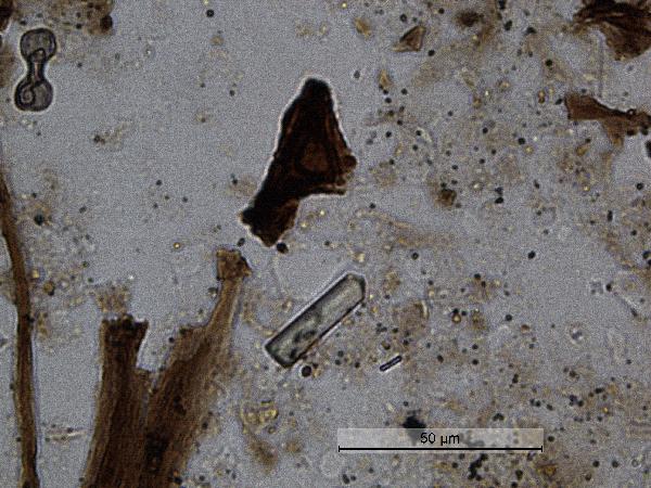 Barite
