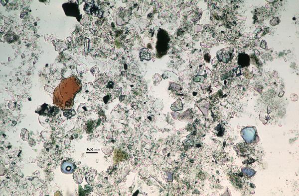 Biotite_4ppl-600.jpg