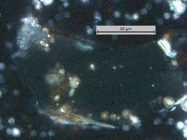 Biotite_MR_BV_cp-600.jpg
