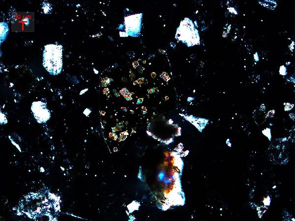 biotite_xp_02-600.jpg