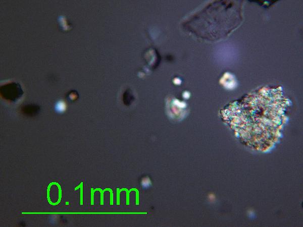 Calcite_01_xp_AB_limestone-600.jpg