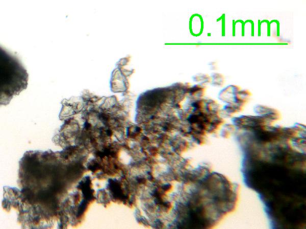 Calcite_02_pp_AB_tufa-600.jpg