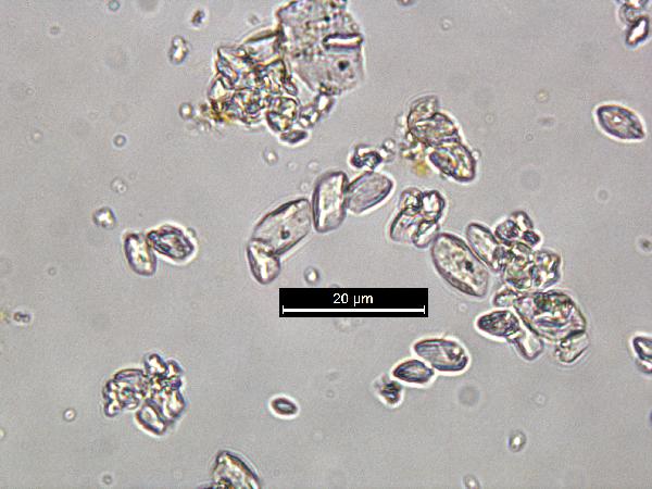calcite_02_pp_BVG-600.jpg