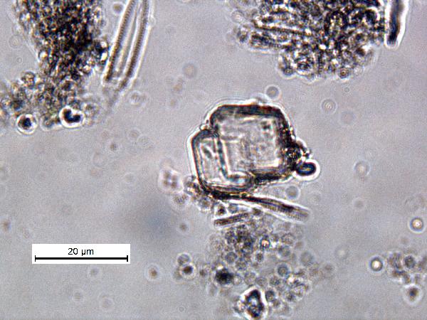 calcite_03_pp_BVG-600.jpg