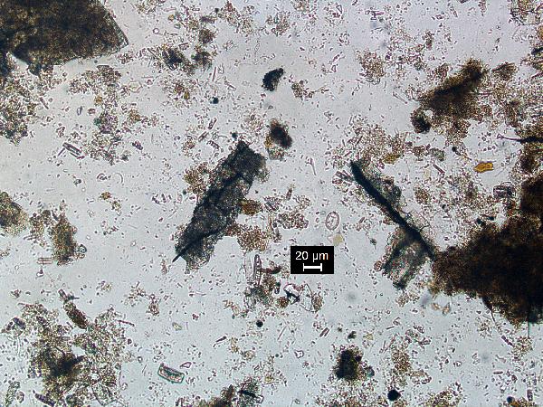 calcite_04_pp_BVG-600.jpg