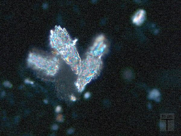 calcite_aggregate_MR_BV_CP-600.jpg