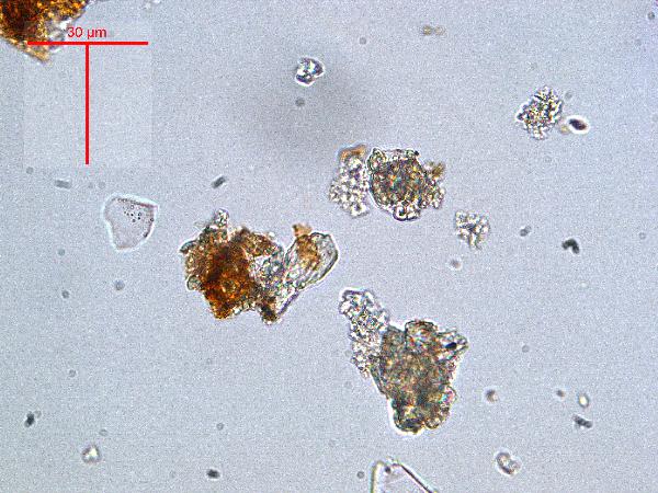 calcite_pp_02-600.jpg