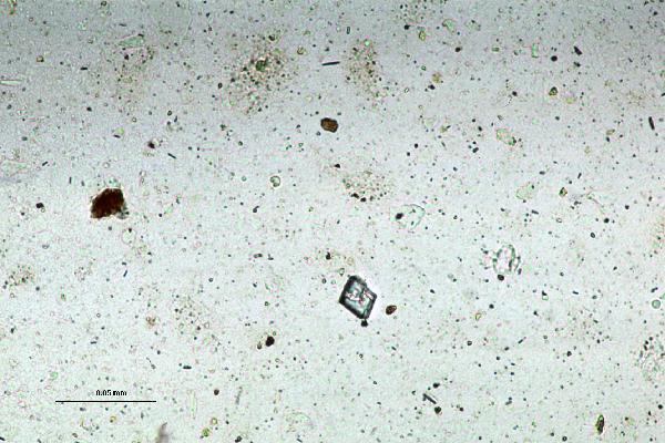 Dolomite_1-600.jpg