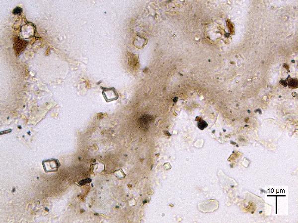 Dolomite_MR_BV_PP-600.jpg
