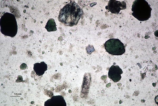 Glauconite_2-600.jpg