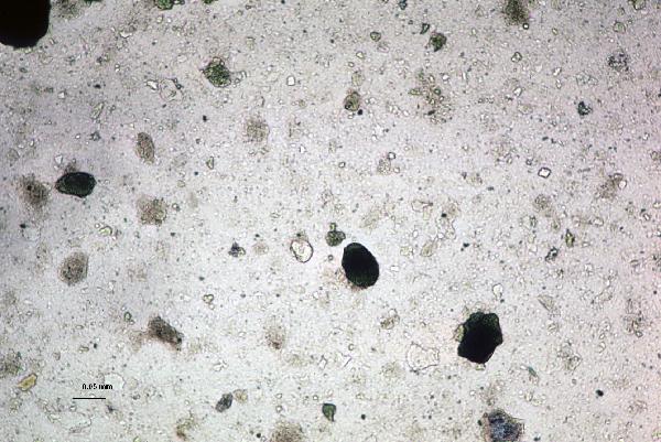 Glauconite_3-600.jpg
