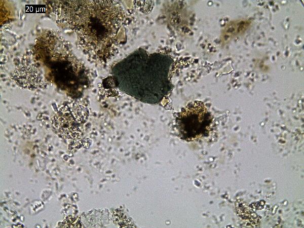 glauconite_grain_OL_JS-600.jpg