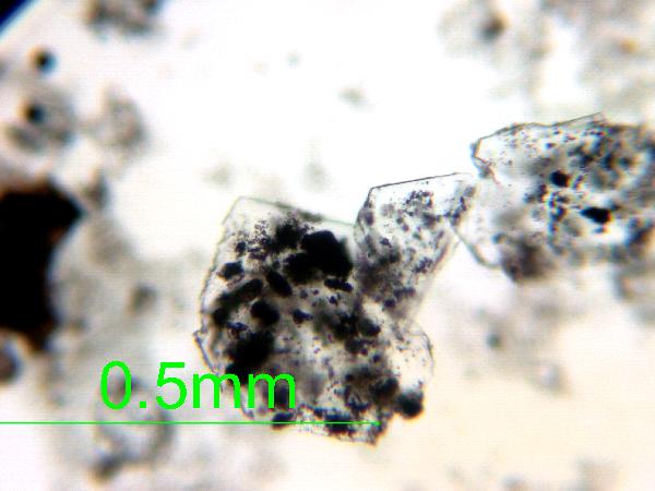 Gypsum_01_pp_AB-600.jpg