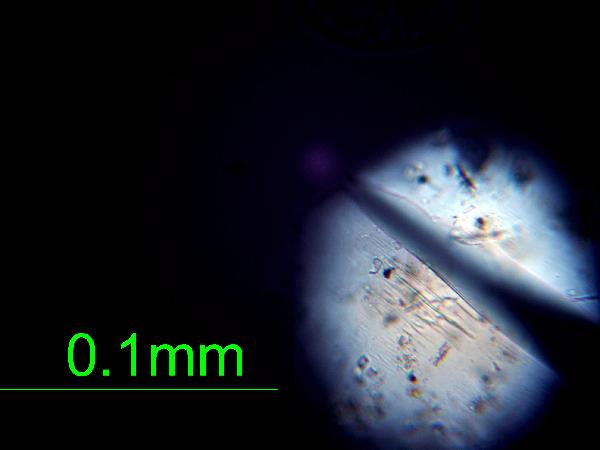 Gypsum_02_xp_AB_detrital-600.jpg
