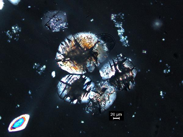 gypsum_01_cp_BVG-600.jpg