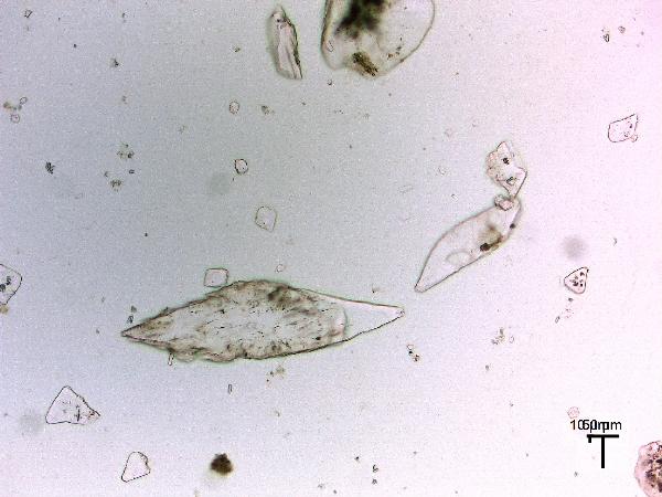 gypsum_2_MR_BV_PP-600.jpg