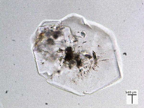 gypsum_MR_BV_PP-600.jpg