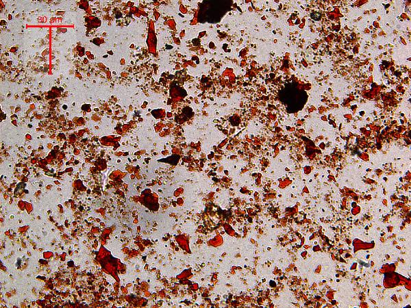 Iron (Hydr)oxides, Non-opaque (Hematite/Limonite)