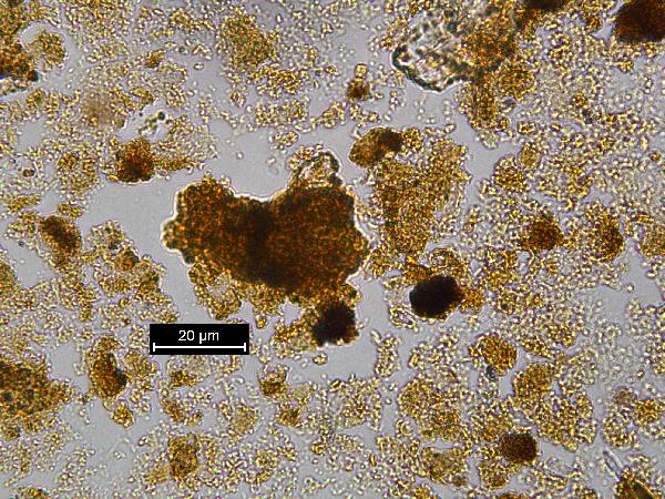 iron_oxides_pp_BVG-600.jpg