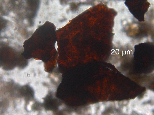 ironoxide_40x_pp-600.jpg