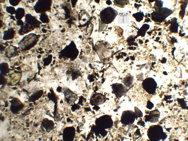 Iron Oxides, Opaque (e.g., magnetite)