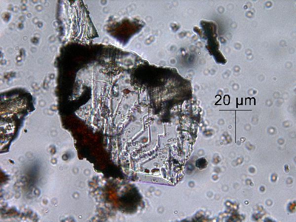 calcite_ironoxide_40x_opaque_pp-600.jpg