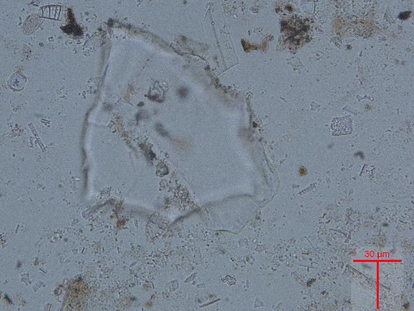 EYASI_microcline_pp-600.jpg