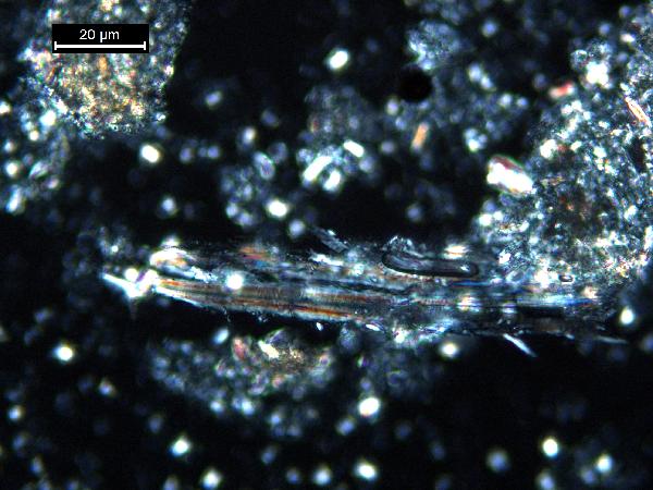 muscovite_01_cp_BVG-600.jpg