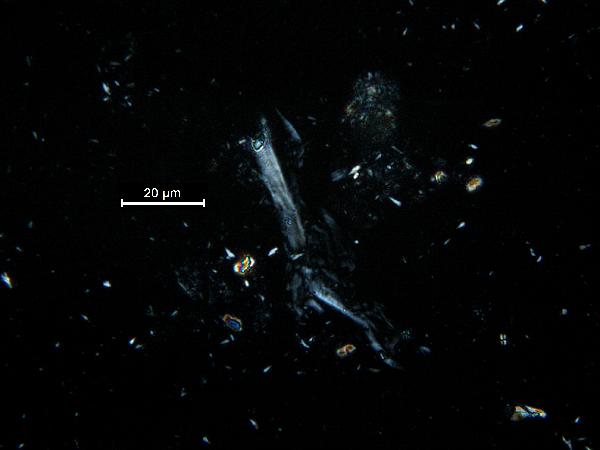 muscovite_03_cp_BVG-600.jpg