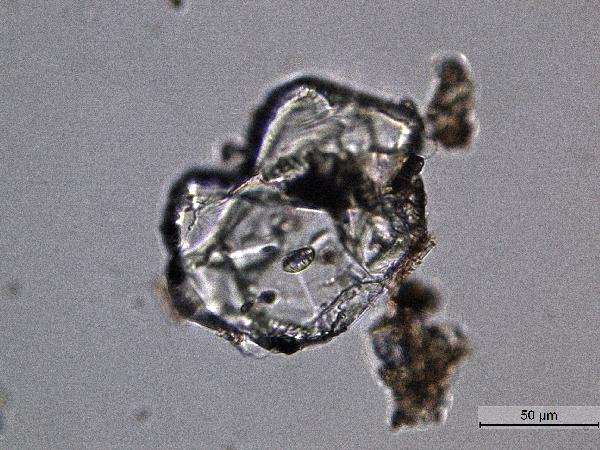Olivine