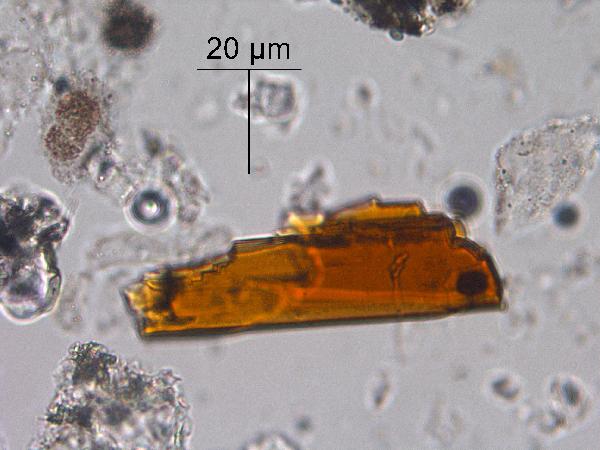 Orthopyroxene