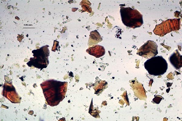 Palagonite_2ppl-600.jpg