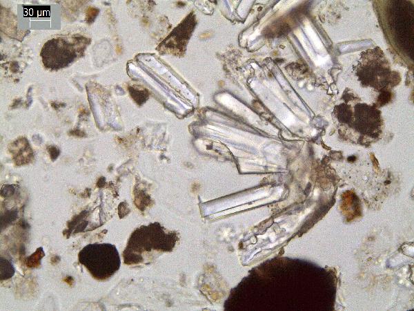 Phillipsite_11_GR-600.jpg